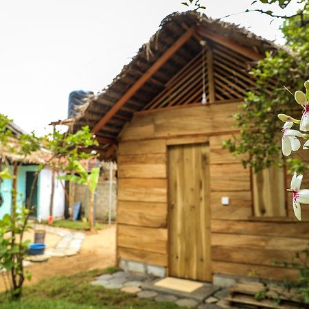 Lemon Tree Hostel Аругам-Бей Екстер'єр фото