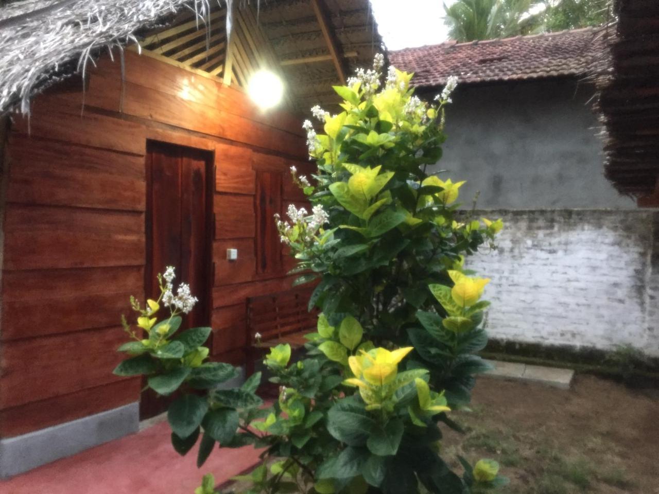 Lemon Tree Hostel Аругам-Бей Екстер'єр фото